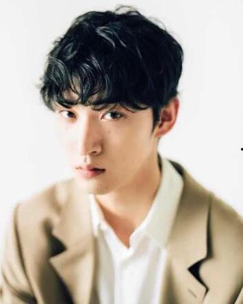 杉 日本男明星,魅力四溢的影视界新星