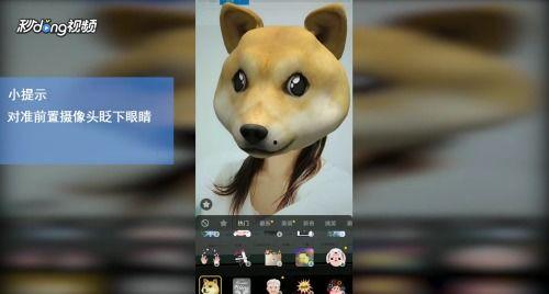 抖音百万网红狗头视频,萌态可掬，吸粉无数