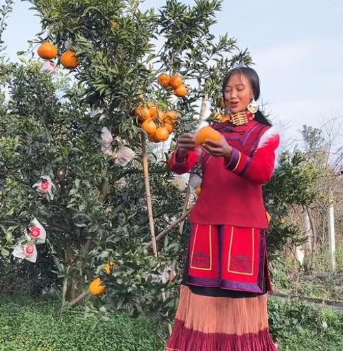 凉山网红有多少个,揭秘网络世界的魅力与影响力