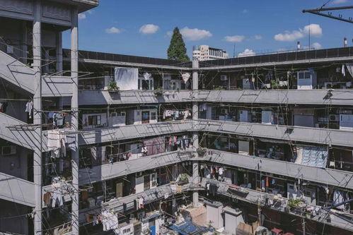 网红打卡老上海建筑工地,网红打卡地，历史与现代的交融之旅