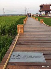 茂名网红打卡风景图,探寻南国海滨的绝美风光