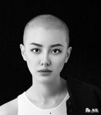 番外明星,明星背后的故事与传奇