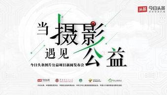 头条公益计划怎么写,助力社会公益，共创美好未来