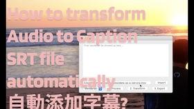怎么在头条上加语音字幕,如何在今日头条添加语音字幕，提升视频互动性