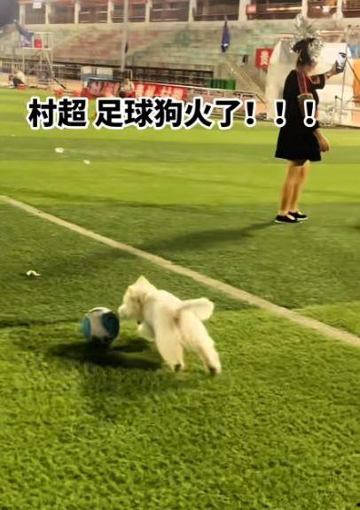 网红巅峰赛,网红巅峰赛精彩瞬间大盘点