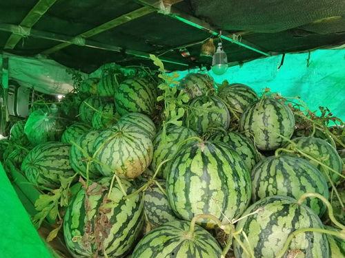 集云阁吃瓜,揭秘网红美食背后的故事