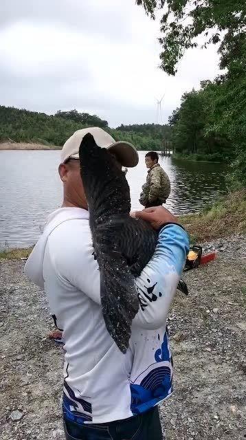 大杨哥被爆料钓鱼视频是真的吗,真相究竟如何？