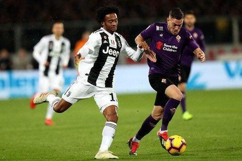 尤文哥哥爆料视频大全,视频爆料大全精彩瞬间回顾