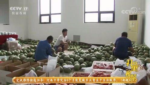 翔安实验吃瓜老师,揭秘校园八卦背后的真相