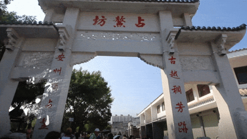 广西钦州市网红达人,魅力钦州，指尖上的传播者