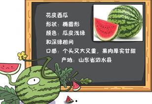 世界吃瓜法制小说推荐,穿越世界吃瓜法小说之旅