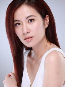 高学历明星假,智慧与美貌并存的璀璨星河