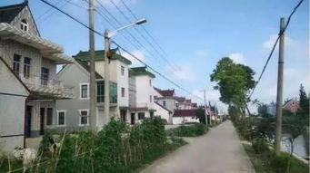 新丰市新村镇新闻头条,聚焦乡村振兴，新村镇焕发新活力