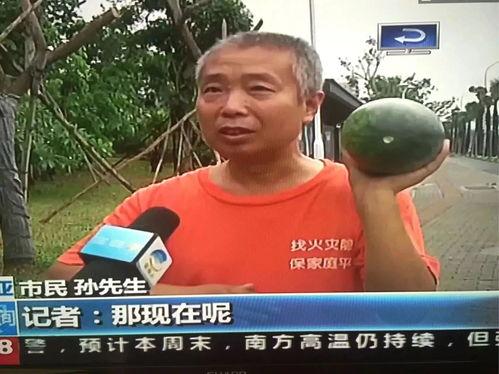 安庆吃瓜群众事件,网络舆论下的社会现象解析