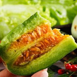 甜瓜概念爆料视频下载大全,一网打尽热门内容